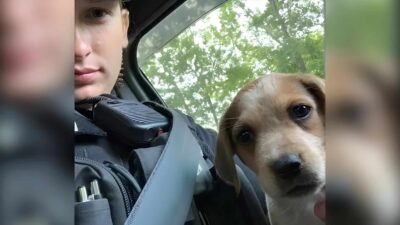 Police Officer Adopts Abandoned Puppy After Saving Her From The Streets