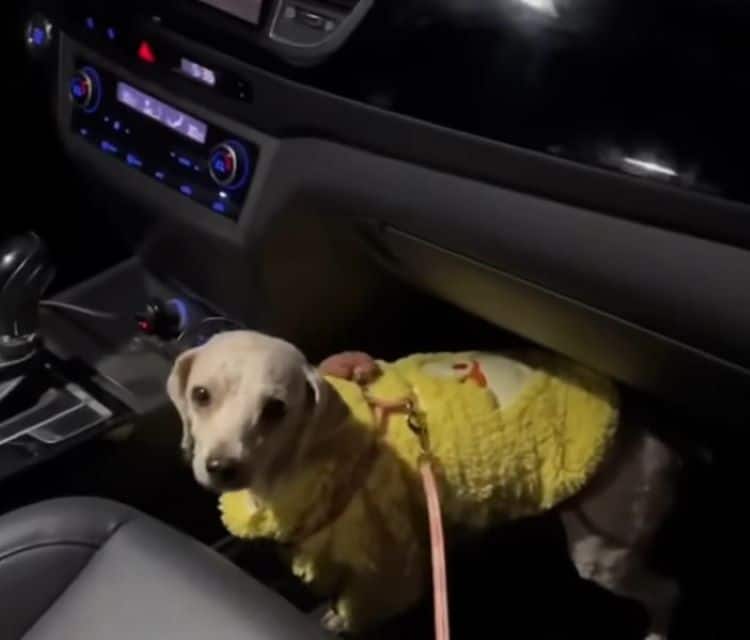 Outside Store Gets a Chance To Be Loved
