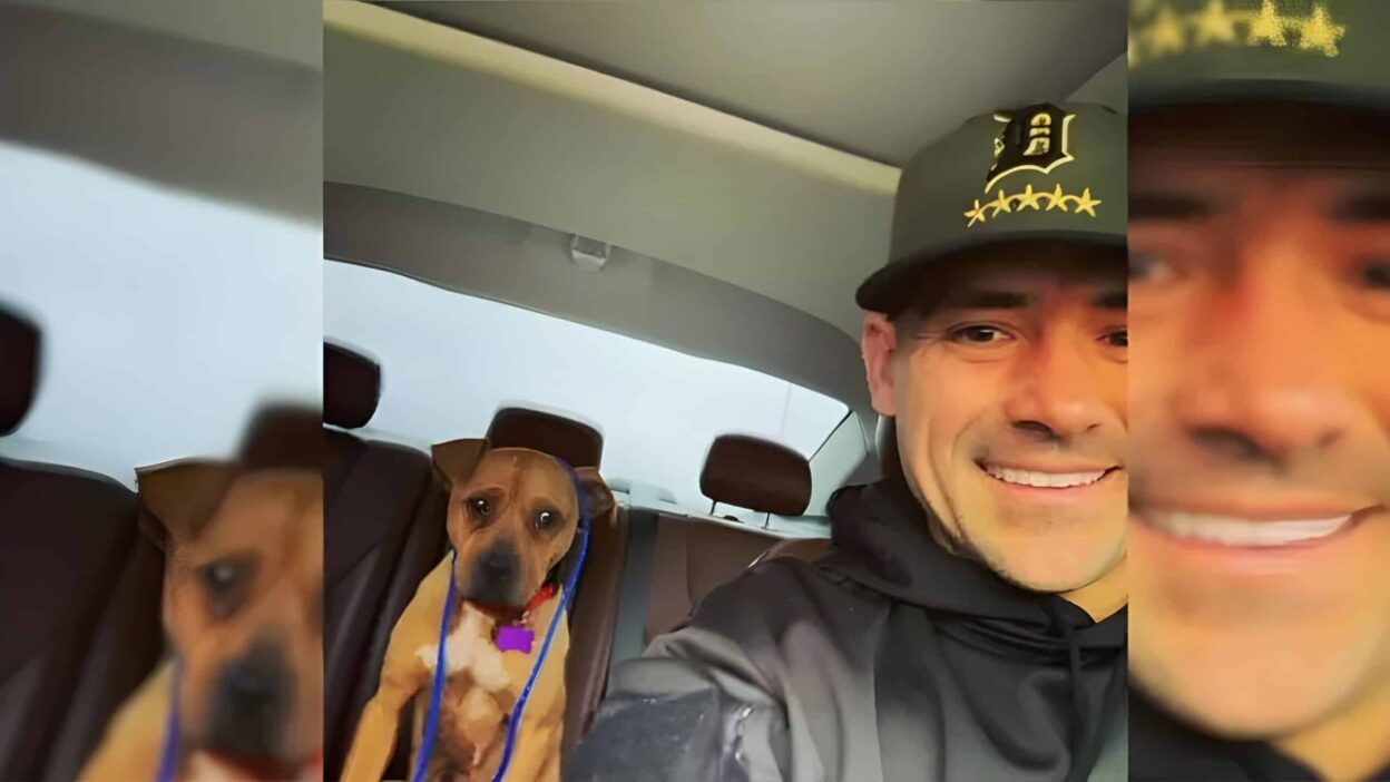 Detroit Police Officer Rescues Pit Bull Left in the Cold