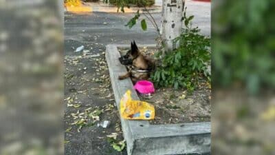 Melody's Heartbreaking Goodbye and Hopeful New Beginning
