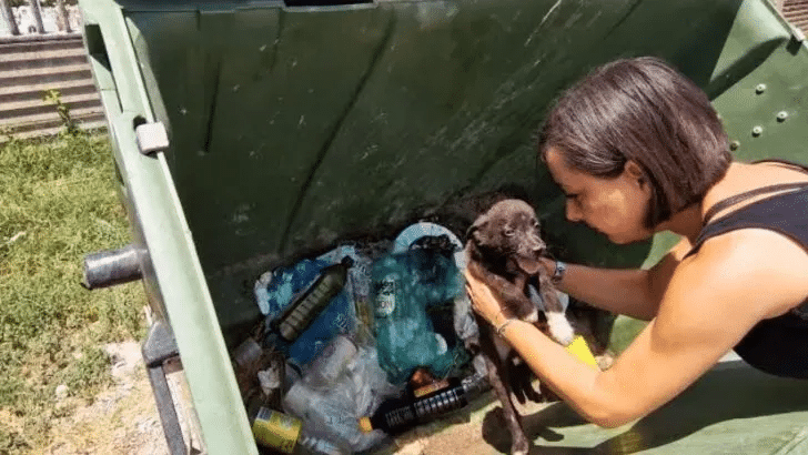 Rescuers Shocked by Starving Puppy Found in Trash Container