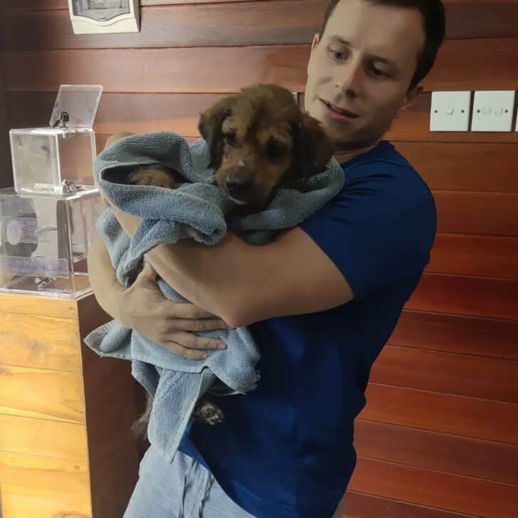 man holding dog in a blanket 728x728